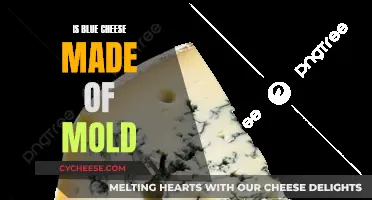 Blue Cheese and Mold: What's the Connection?