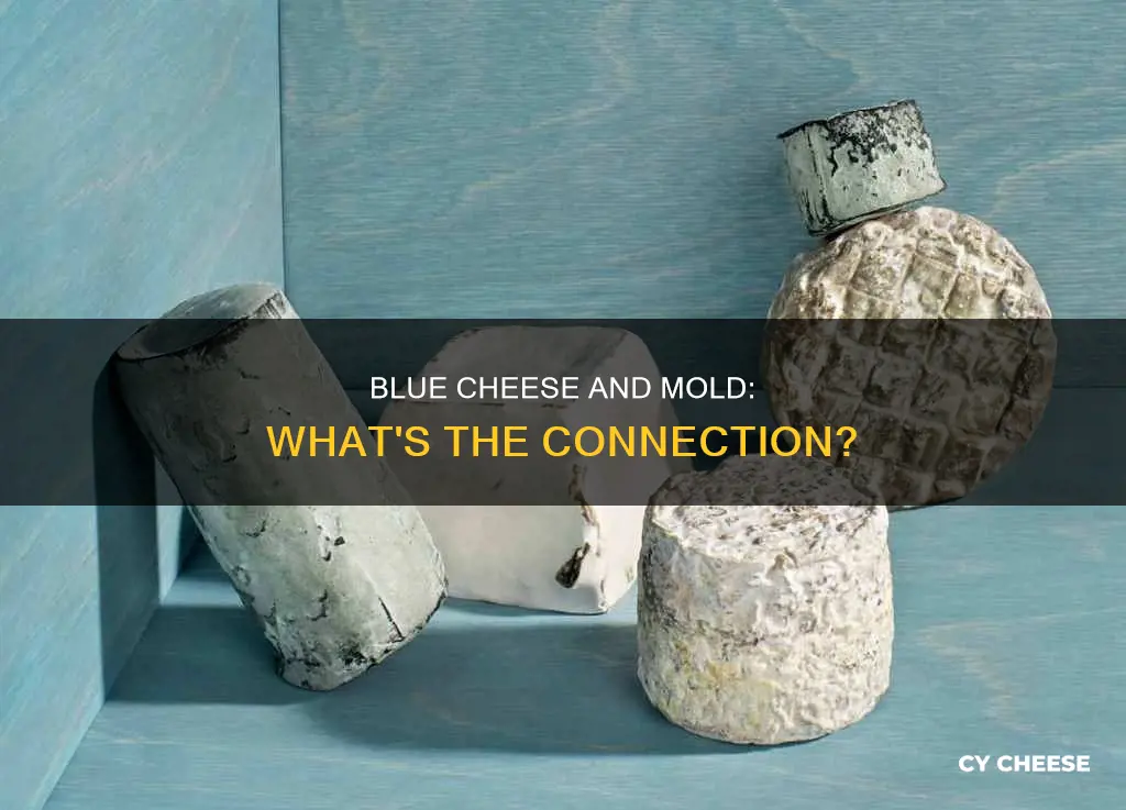 is blue cheese made of mold