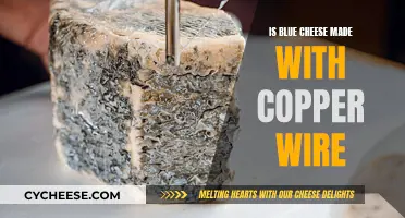 How Blue Cheese Gets Its Veins