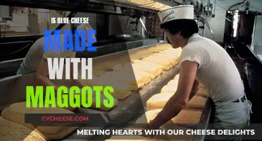 Maggot Myth: Blue Cheese's Surprising Secret