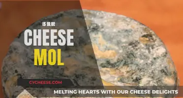 Blue Cheese: A Moldy Delight?