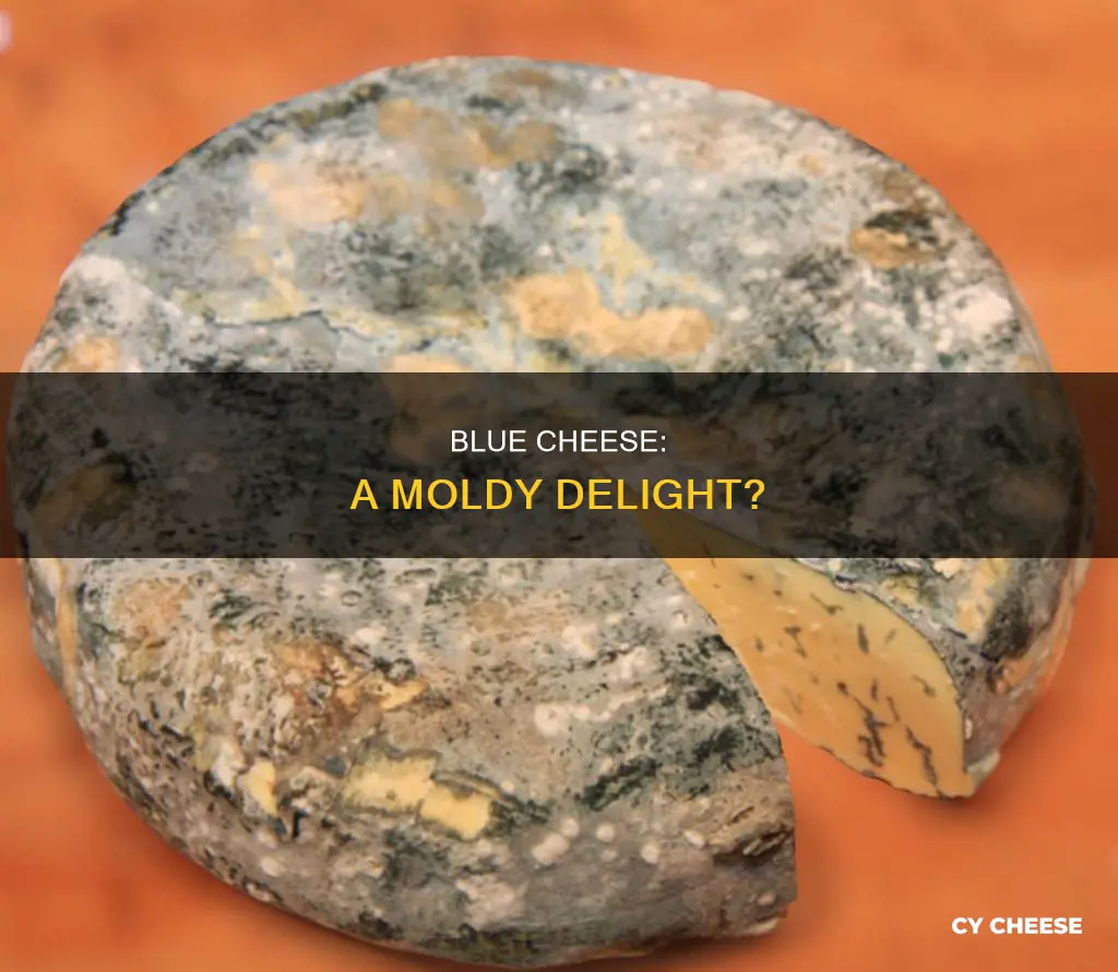 is blue cheese mol