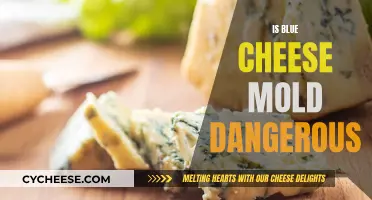 Blue Cheese Mold: Is It Safe to Eat?