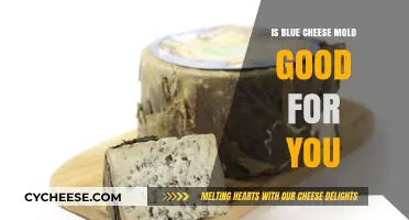 Blue Cheese Mold: Healthy or Harmful?