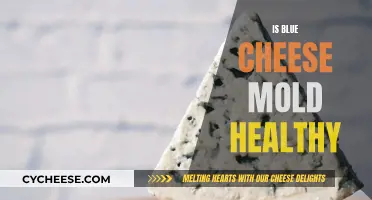 Blue Cheese Mold: Healthy or Harmful?
