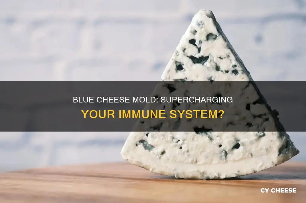 is blue cheese mold immune enhancing