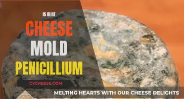 Blue Cheese Mold: Is It Penicillium?