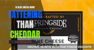 Blue Cheese vs. Cheddar: Unraveling the Fat Mystery