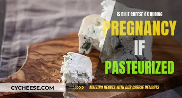 Pregnant and Craving Blue Cheese? Here's What You Should Know
