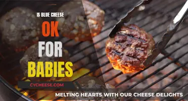 Blue Cheese and Babies: Is It Safe?