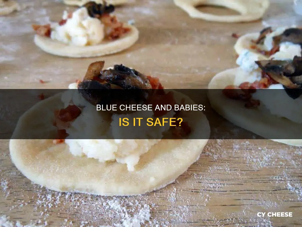 is blue cheese ok for babies