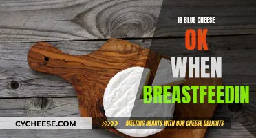 Blue Cheese Consumption While Breastfeeding: Is It Safe?
