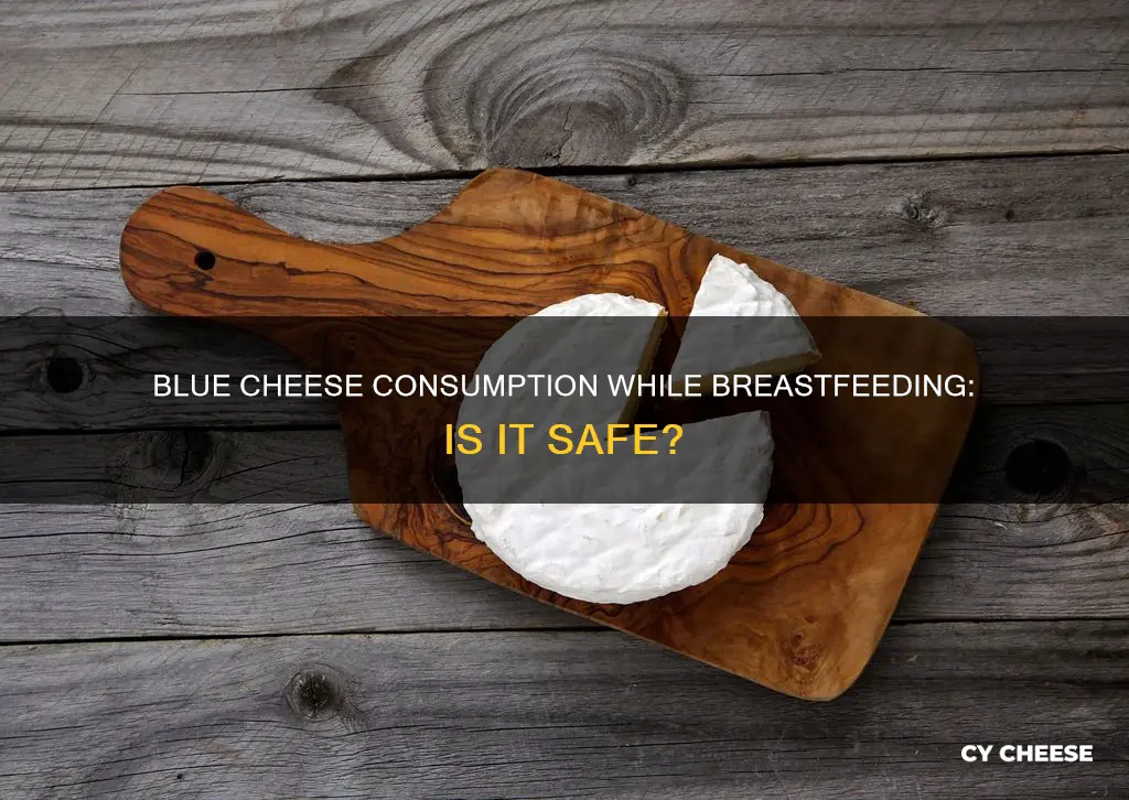 is blue cheese ok when breastfeeding