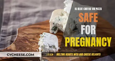 Pregnancy Diet: Blue Cheese on Pizza, Safe or Not?