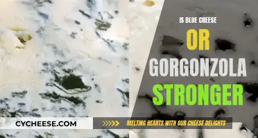 Blue Cheese vs Gorgonzola: Which Has a Stronger Flavor?