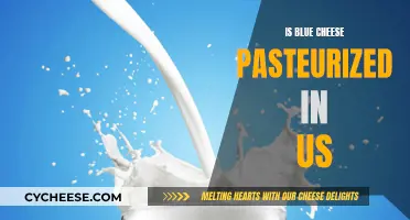 Blue Cheese Pasteurization: US Standards and Safety