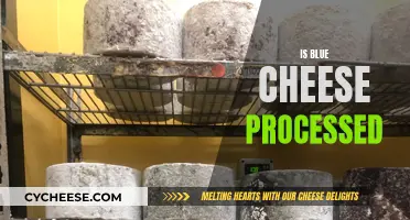 Blue Cheese: Processed or Natural?