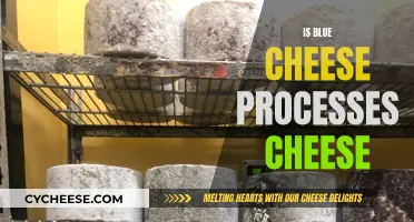 Blue Cheese: Processed or Not?
