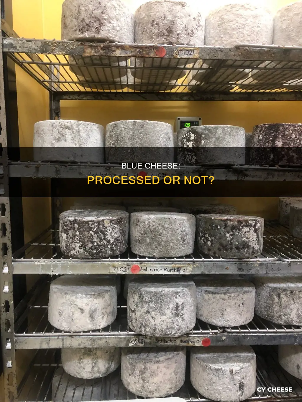 is blue cheese processes cheese