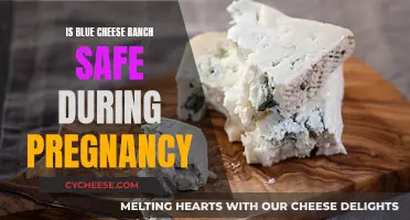Pregnancy and Blue Cheese Ranch: Is It Safe?