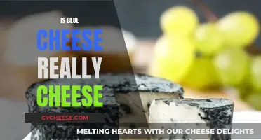 Blue Cheese: A Real Cheese or Not?