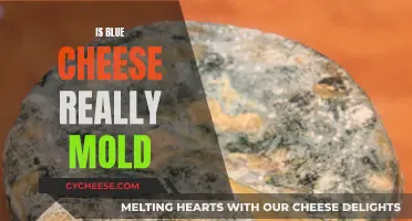 Blue Cheese and Mold: What's the Real Deal?