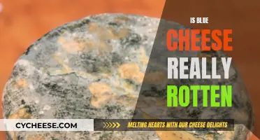 Blue Cheese: Rotten or Not?