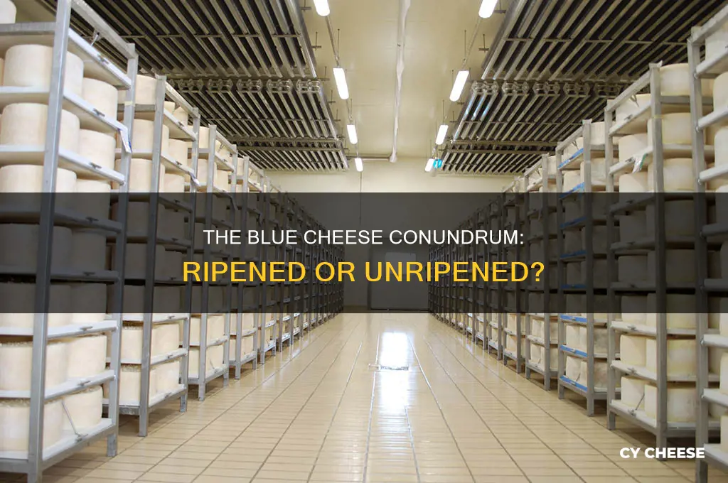 is blue cheese ripened or unripened