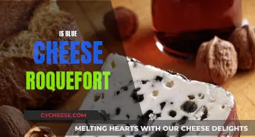 Blue Cheese and Roquefort: What's the Difference?