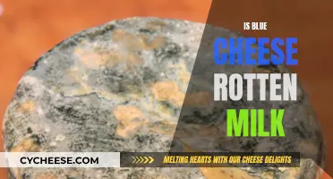 Blue Cheese: Rotten Milk or Delicious Delicacy?