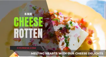 Blue Cheese: Rotten or Not?