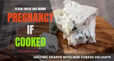 Cooking Blue Cheese: Safe Indulgence for Pregnant Moms?