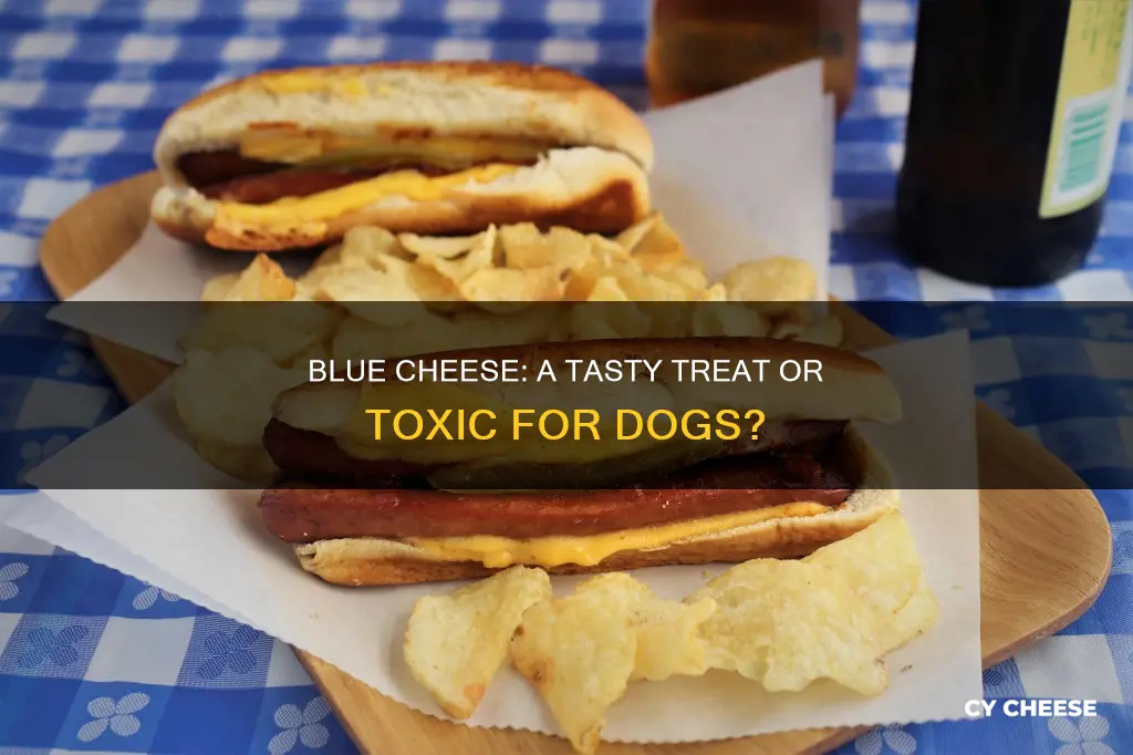 is blue cheese safe for dogs