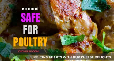 Blue Cheese and Poultry: Safe or Not?