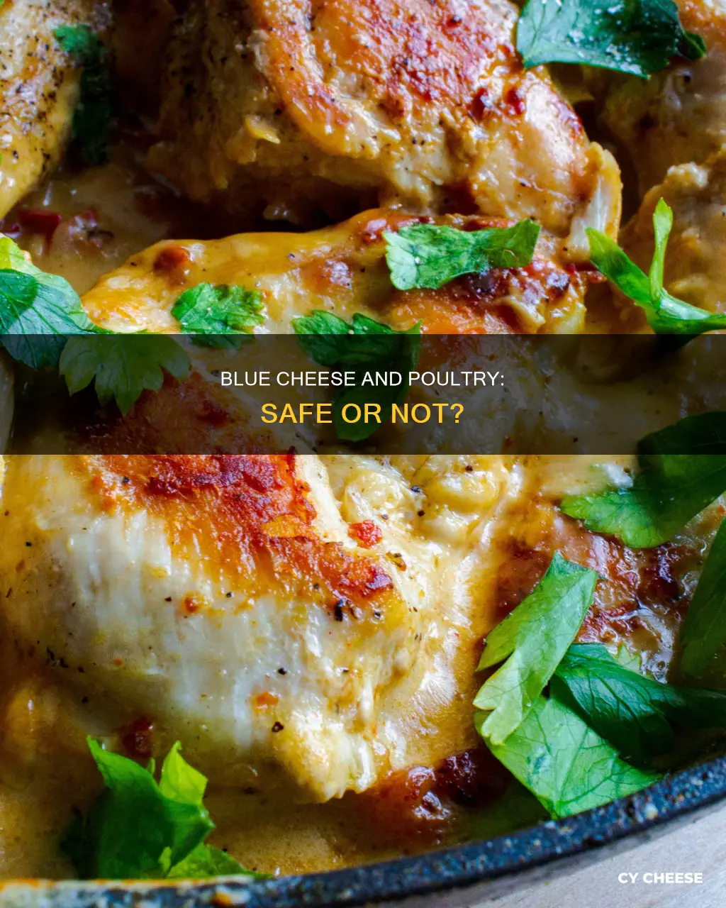 is blue cheese safe for poultry
