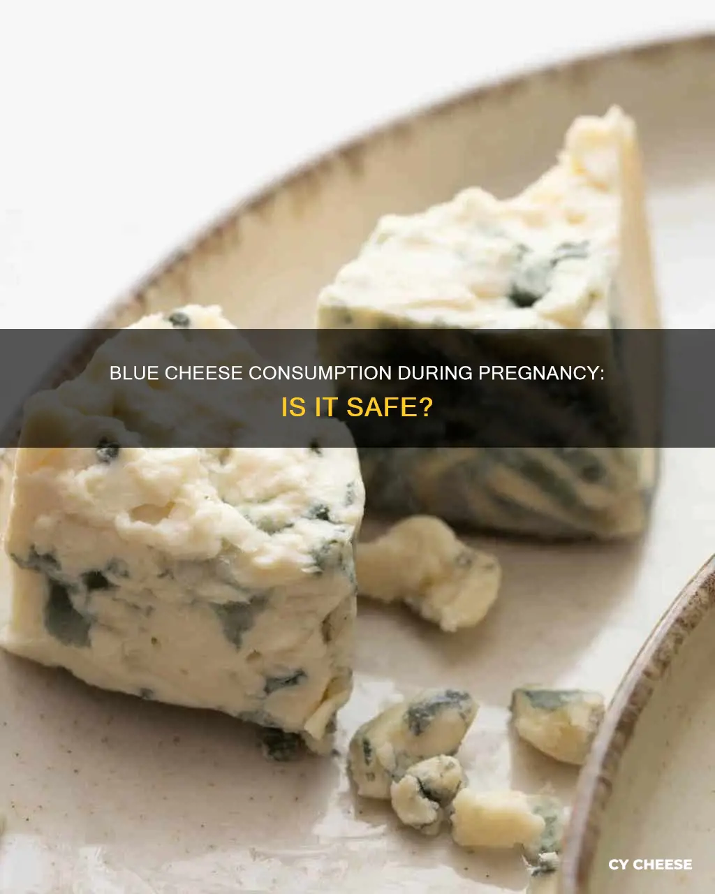 is blue cheese safe for pregnant