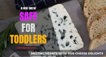 Blue Cheese and Toddlers: What Parents Should Know
