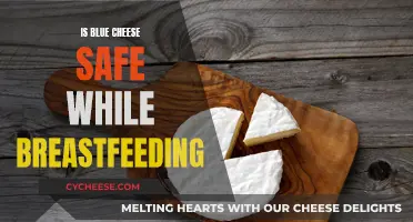 Blue Cheese Consumption: Safe While Breastfeeding?