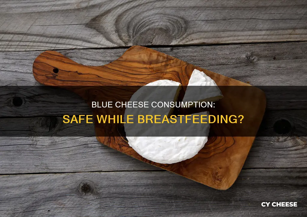 is blue cheese safe while breastfeeding