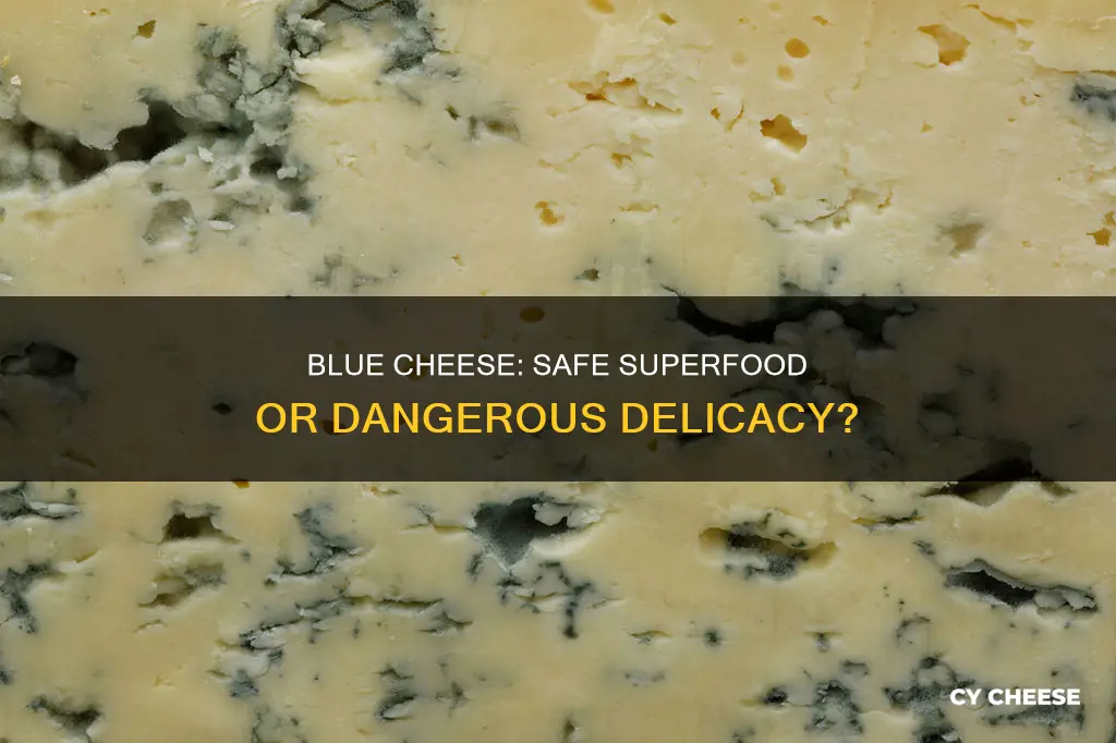 is blue cheese safe