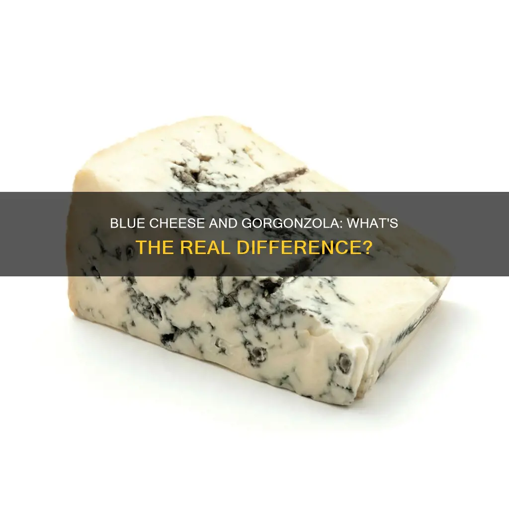 is blue cheese same as gorgonzola