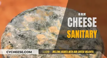 Blue Cheese: Sanitary Superfood or Bacteria-Ridden Delicacy?