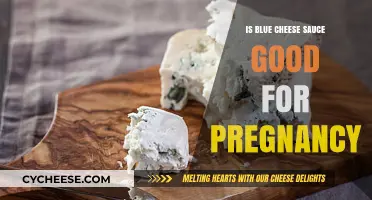 Blue Cheese Sauce: Safe or Unsafe During Pregnancy?