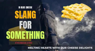 Blue Cheese: A Slang Term for Something Tasty?