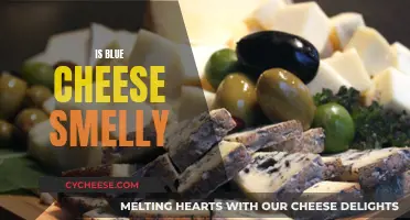 Blue Cheese: Why Does It Smell So Strong?