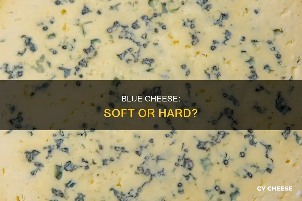is blue cheese soft