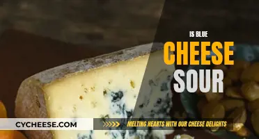 Blue Cheese: Sour or Not?