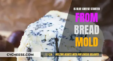 Bread Mold and Blue Cheese: A Surprising Origin Story