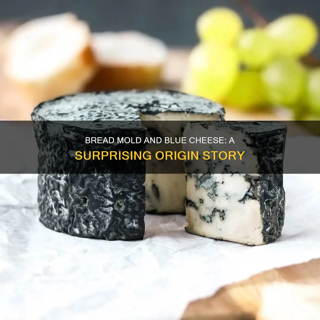 is blue cheese started from bread mold