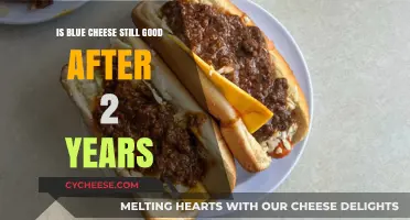 Blue Cheese: How Long Does It Last?